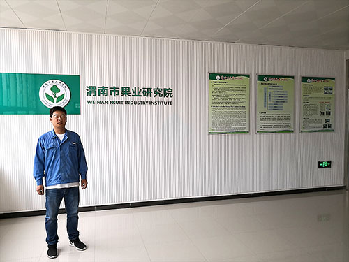 渭南職業技術學院小蝌蚪免费网站項目