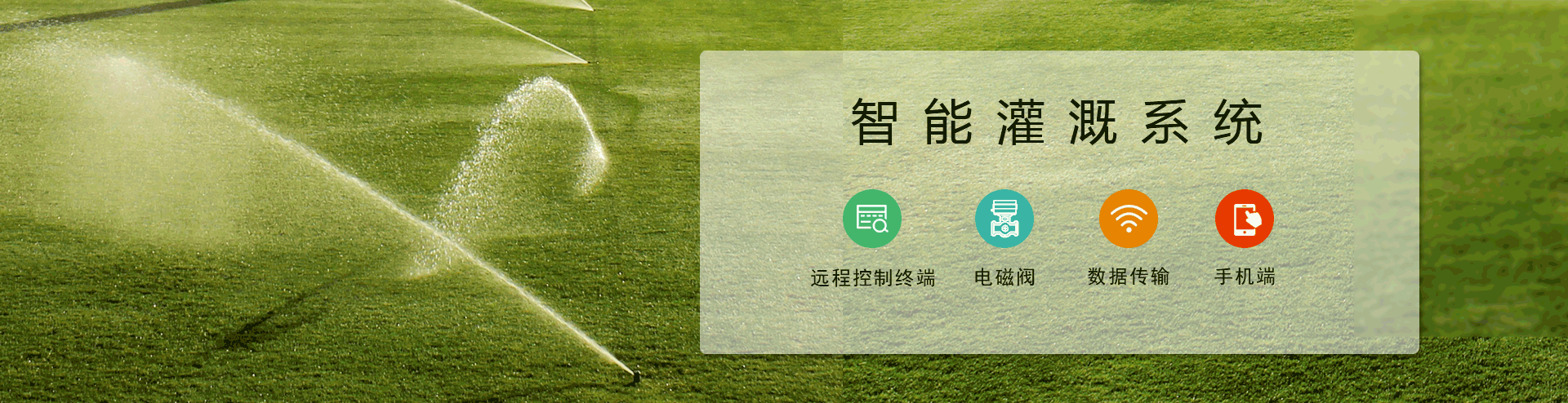 農業小蝌蚪免费网站