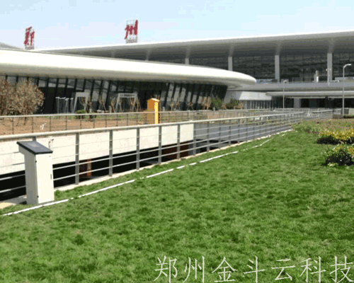 小蝌蚪免费网站係統