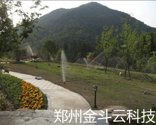 小蝌蚪免费网站係統