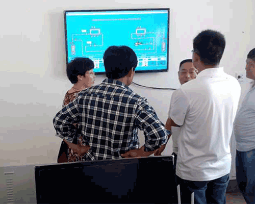 小蝌蚪免费网站係統