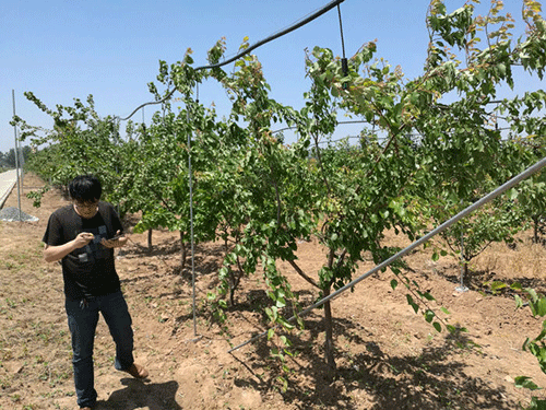 農業小蝌蚪免费网站