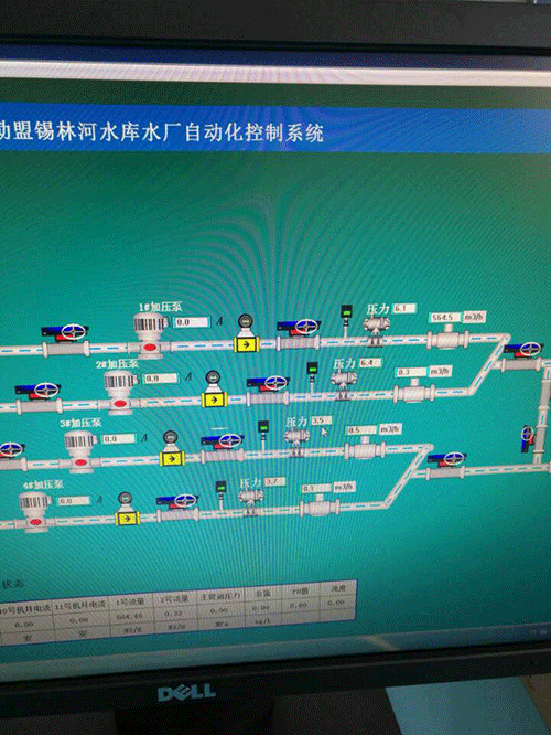節水小蝌蚪免费网站