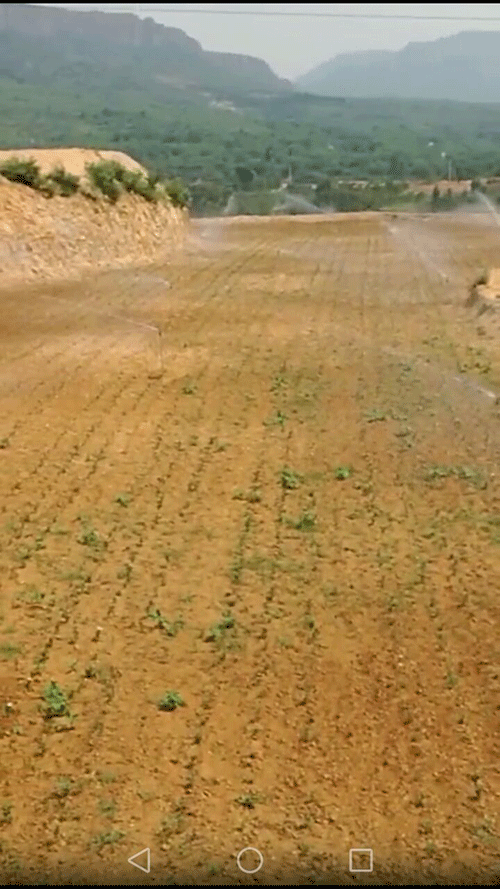 小蝌蚪免费网站係統