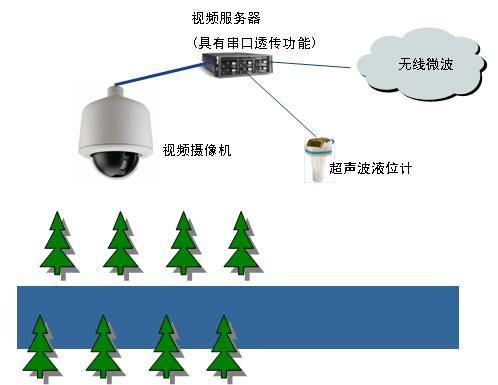 小蝌蚪免费网站係統 小蝌蚪免费网站係統