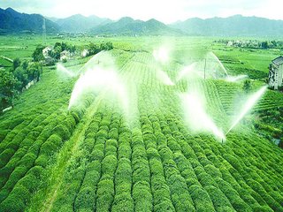 農業小蝌蚪免费网站 農業小蝌蚪免费网站