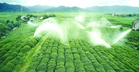 節水小蝌蚪免费网站廠家