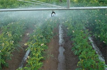 節水小蝌蚪免费网站廠家