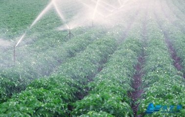 節水小蝌蚪免费网站 節水小蝌蚪免费网站