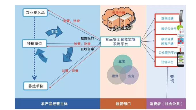 農業小蝌蚪免费网站